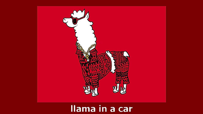 Llama Song remix